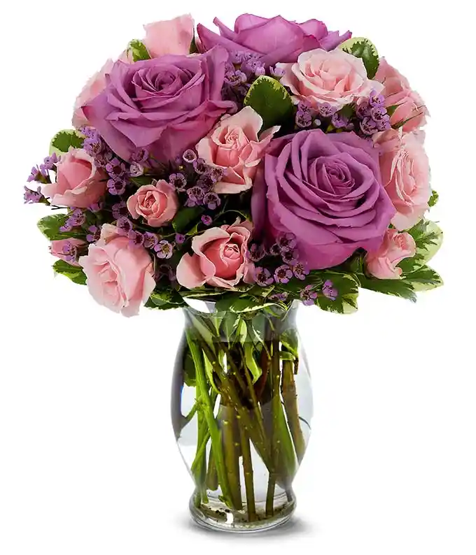 Purple roses paired with pink spray roses