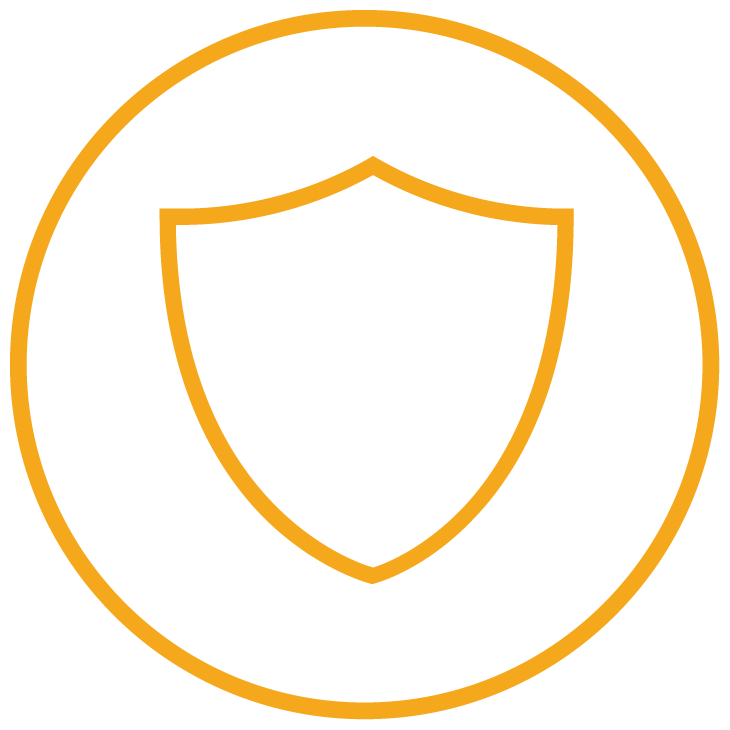 security logo depicted as a shield