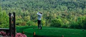 Man golfing surrounded by forest