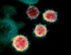 Coronavirus and COVID-19: Keep up to date