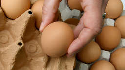 Eier-Rückruf bei Edeka: Vorsicht! Hersteller warnt vor Gesundheitsrisiko