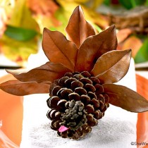 Thanksgiving Pine Cone Turkey Craft