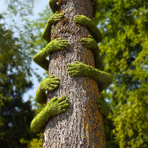 Christophe Guinet aka Mr. Plant's "Tree Hug" is made from molds of the arms of local residents. Installation for Exhibition in Annecy / FRANCE from July 6 to September 15, 2019 for Annecy Paysages and l'Arteppes. 