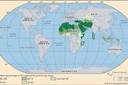 World distribution of Islam.